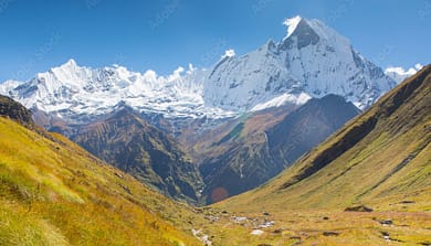 AdobeStock_215839129_Preview