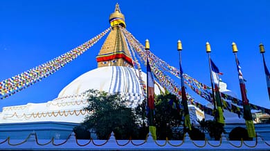 PXL_20231203_094150644-EFFECTS