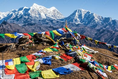 AdobeStock_265376400_Preview